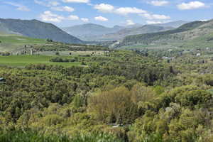 View of mountain background with a heavily wooded area