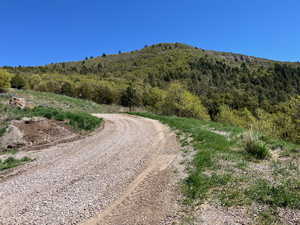 View of dirt / gravel road featuring a view of trees