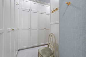 Spacious closet with carpet floors