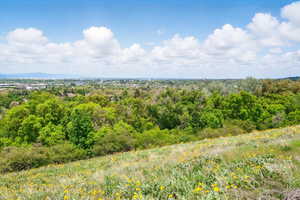 Field/Trees at Back of Property