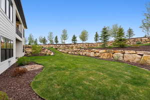 View of green lawn