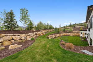 View of green lawn