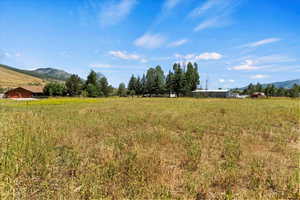 View of yard with a mountain view and a view of rural / pastoral area