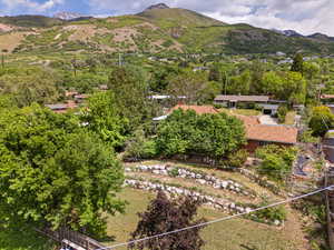 View of mountain background
