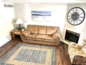 Living room with wood finished floors and a glass covered fireplace