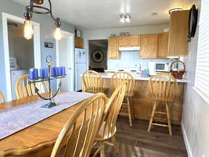 Dining room with dark wood-type flooring, a textured ceiling, and baseboards