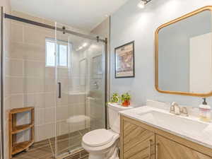 Full bathroom featuring toilet, a shower stall, and vanity