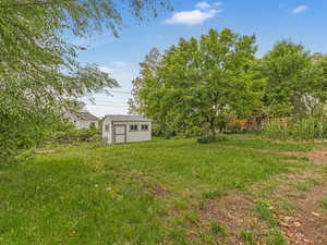 View of yard with a shed and an outdoor structure