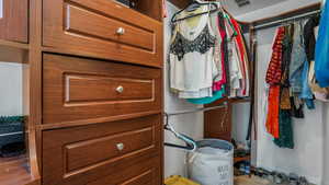 View of walk in closet
