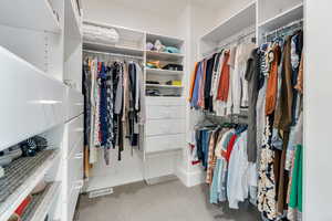 Spacious closet with carpet flooring