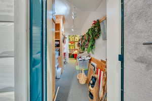 Hallway with track lighting and carpet