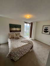 Large bedroom with two windows - light and bright.
