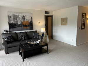 new paint in entire unit as well as new carpet