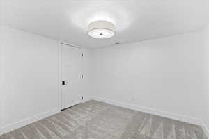 Empty room featuring light carpet, baseboards, and a textured ceiling
