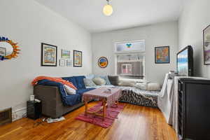 Living room featuring wood-type flooring