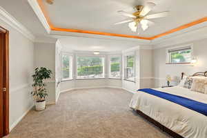 Bedroom with a tray ceiling, carpet, ornamental molding, baseboards, and a ceiling fan