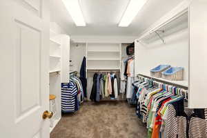 Walk in closet in primary bedroom featuring wall safe and carpet flooring