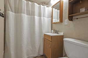 Bathroom featuring a textured wall, toilet, vanity, and a shower with curtain