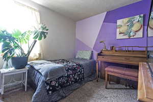 Bedroom with carpet, a textured ceiling, a textured wall, and vaulted ceiling