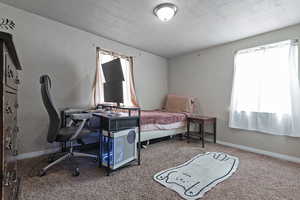 Carpeted bedroom featuring multiple windows, a textured ceiling, baseboards, and a desk
