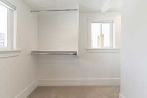 Spacious closet featuring carpet