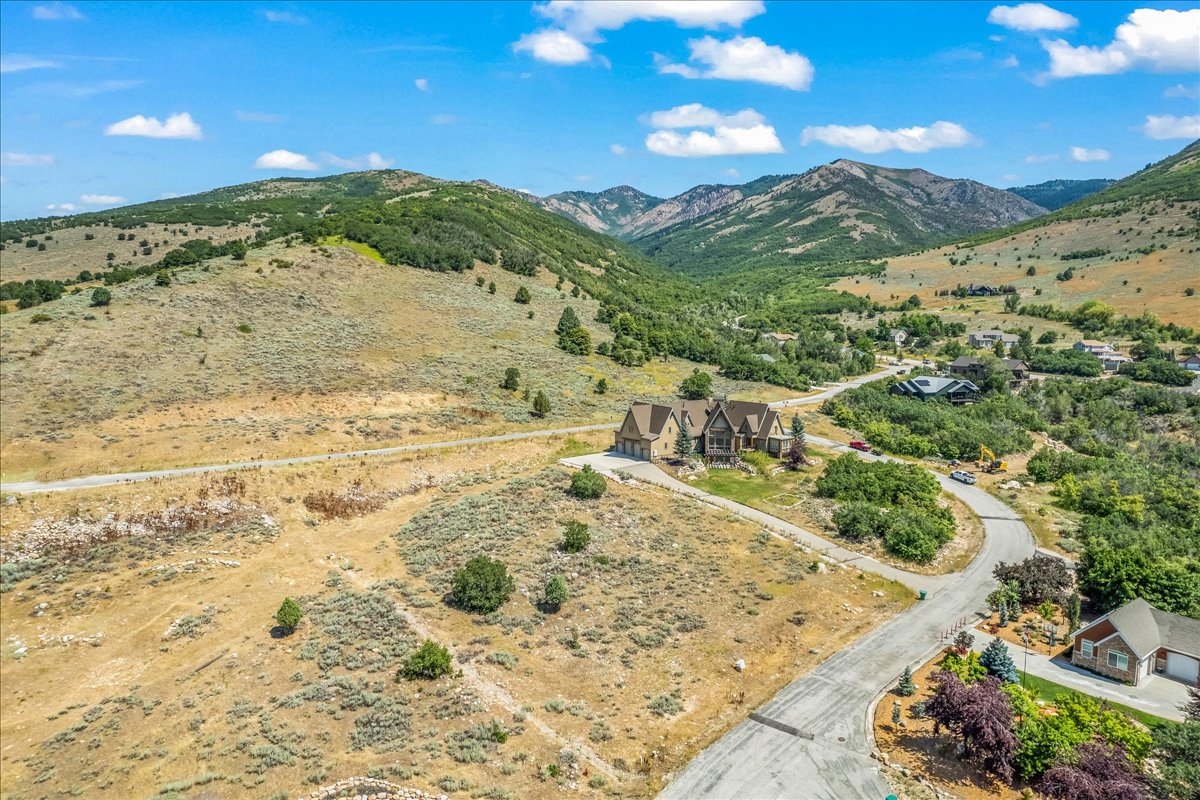 View of mountain background