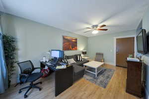 Flex office and living room