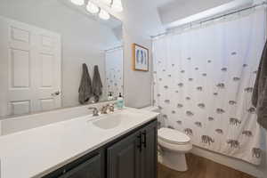 Bathroom featuring toilet, wood finished floors, and vanity