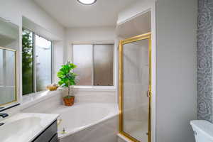 Full bath with a bath, a shower stall, vanity, and toilet