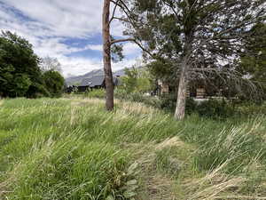 View of yard featuring a mountain view