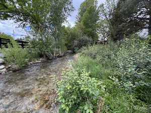 View of nature