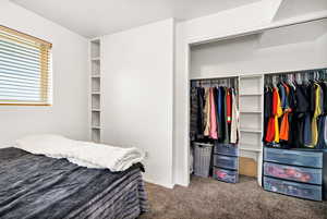 Bedroom featuring carpet flooring, a closet, and baseboards