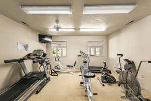 Workout room with healthy amount of natural light, carpet, a textured ceiling, and baseboards