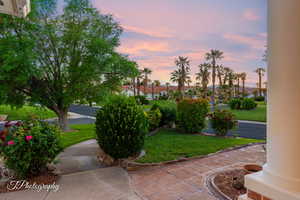 View of grassy yard