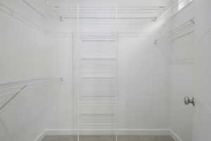 Spacious closet featuring carpet floors