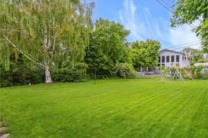 View of grassy yard