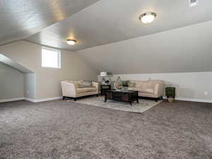 Carpeted living room with baseboards, lofted ceiling, and a textured ceiling