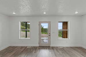 Foyer featuring plenty of natural light, wood finished floors, a textured ceiling, baseboards, and recessed lighting