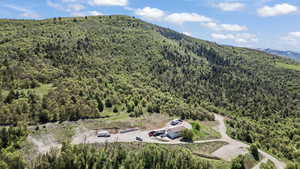 Aerial view of a forest and a mountain backdrop