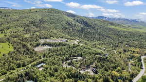 Aerial view of a forest and a mountainous background