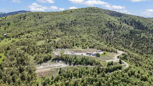 Aerial view of a heavily wooded area and a mountain backdrop