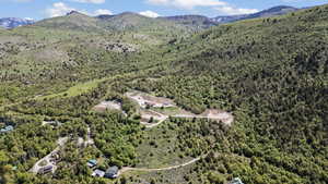 Drone / aerial view of a forest and a mountainous background