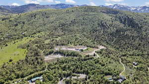 Aerial overview of property's location featuring a heavily wooded area and a mountain backdrop