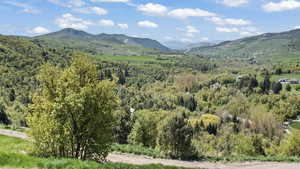 View of mountain backdrop with a forest
