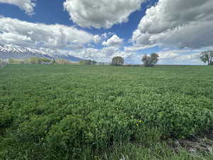 View of grassy yard featuring a mountain view and a view of countryside