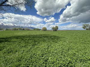 View of grassy yard featuring a view of countryside and a mountain view