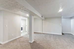 Finished basement featuring carpet, baseboards, and a textured ceiling