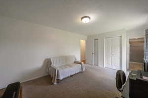 Carpeted bedroom with multiple closets, baseboards, a textured ceiling, and a desk