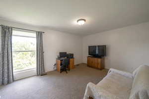 Office area with carpet and plenty of natural light