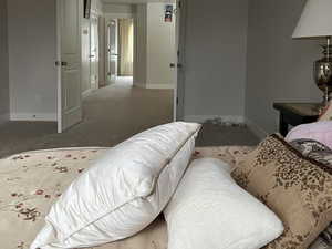 Carpeted bedroom with baseboards